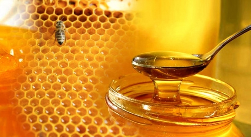 Pure Honey in Pakistan